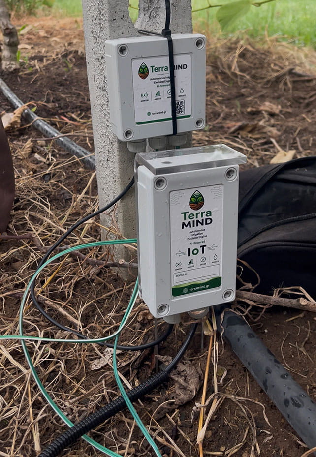 Terra MIND IoT αισθητήρες εγκατεστημένοι σε αγρό — σύστημα έξυπνης άρδευσης και αγρονομικής νοημοσύνης